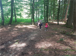 Im Wald können die Kinder rennen und toben