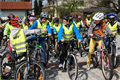 Volksschüler üben für die Radfahrprüfung!